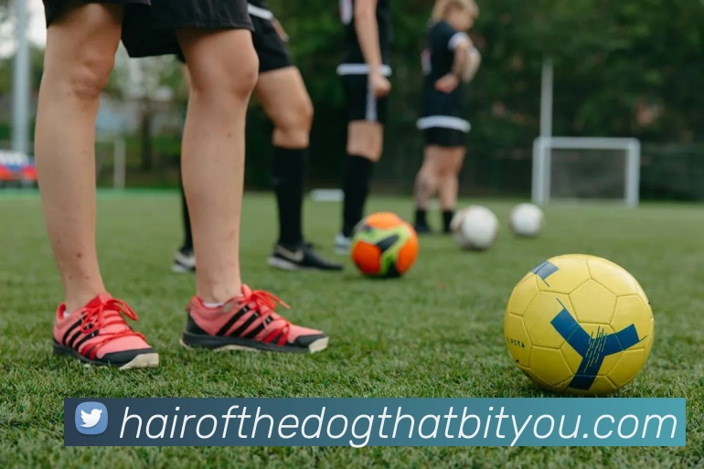 体育赛事直播